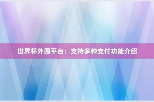 世界杯外围平台：支持多种支付功能介绍