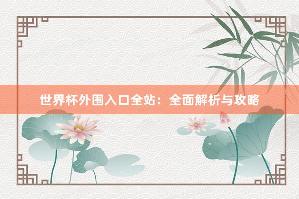 世界杯外围入口全站：全面解析与攻略
